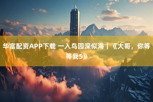 华富配资APP下载 一入鸟园深似海｜《大哥，你等等我5》