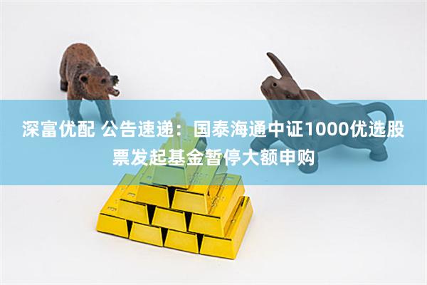 深富优配 公告速递：国泰海通中证1000优选股票发起基金暂停大额申购
