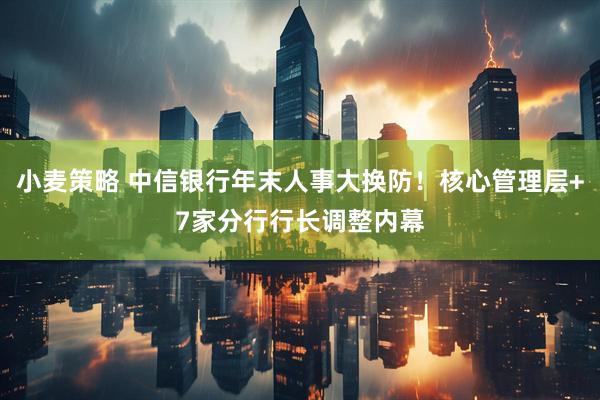 小麦策略 中信银行年末人事大换防！核心管理层+7家分行行长调整内幕