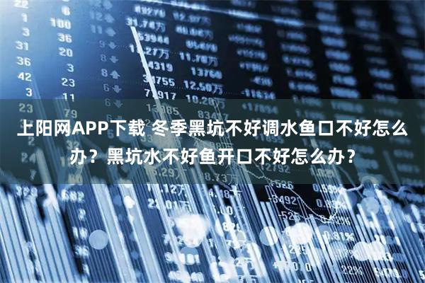 上阳网APP下载 冬季黑坑不好调水鱼口不好怎么办？黑坑水不好鱼开口不好怎么办？