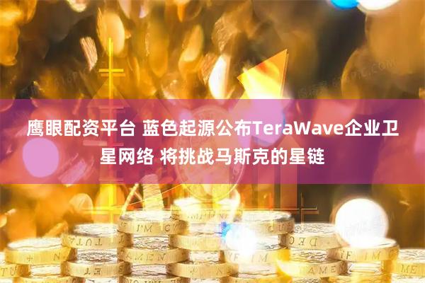 鹰眼配资平台 蓝色起源公布TeraWave企业卫星网络 将挑战马斯克的星链
