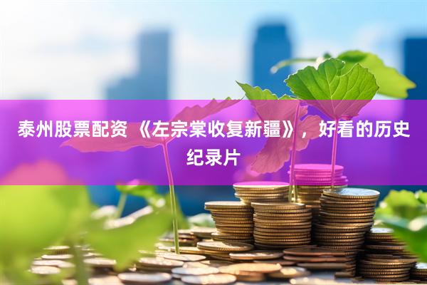 泰州股票配资 《左宗棠收复新疆》，好看的历史纪录片