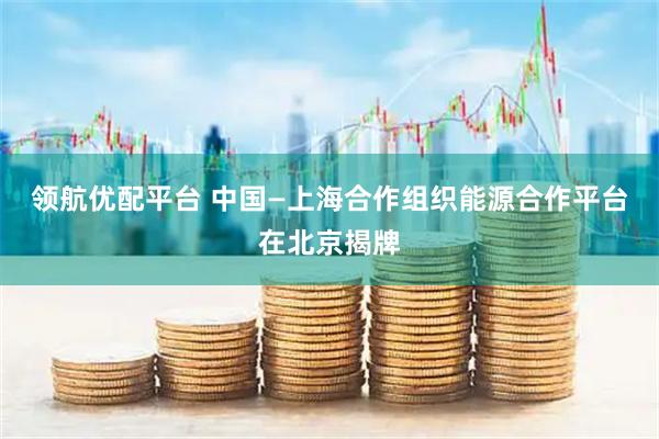 领航优配平台 中国—上海合作组织能源合作平台在北京揭牌